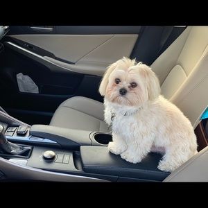 Meet your Posher, Frank